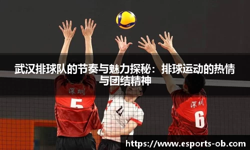 OB电竞官方网站